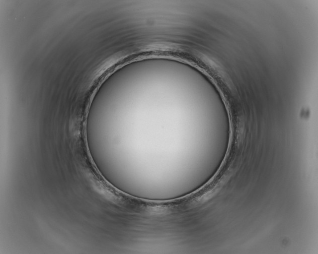 X0000092011017200709201525