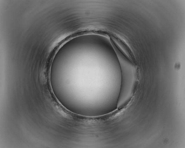 X0000092011018200709201525