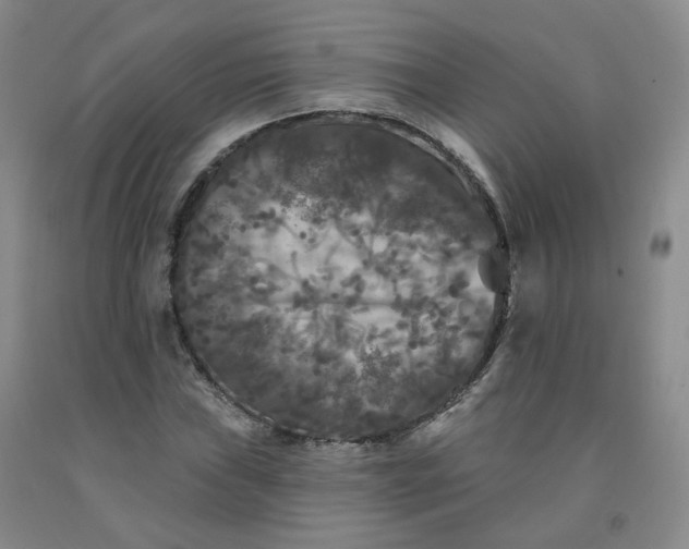 X0000092011019200709201525