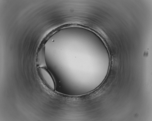 X0000092011020200709201525
