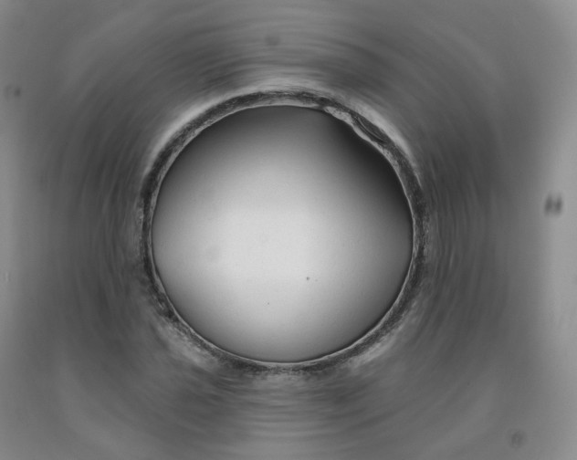 X0000092011021200709201525