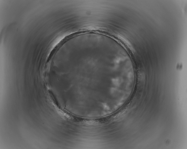X0000092011023200709201525