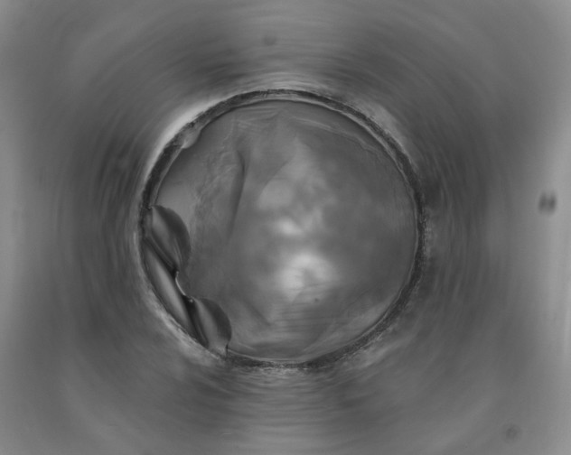 X0000092011024200709201525