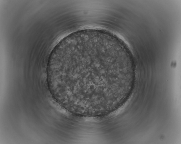 X0000092011025200709201526
