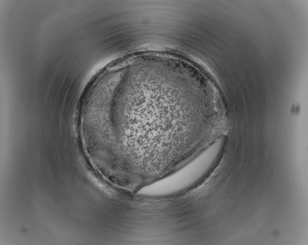 X0000092011026200709201526