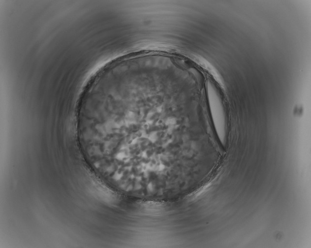 X0000092011027200709201526
