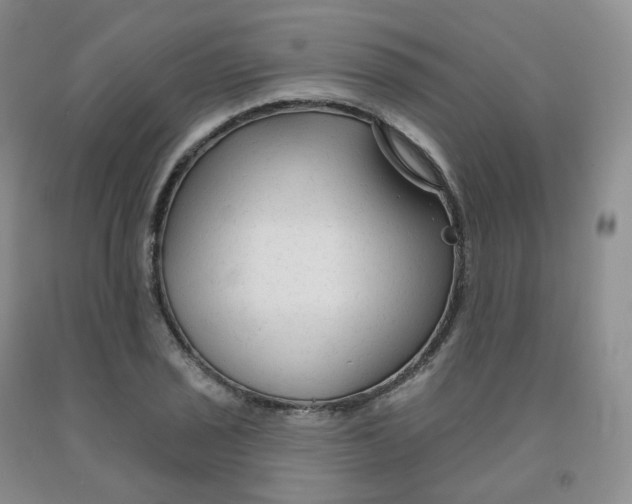 X0000092011029200709201526