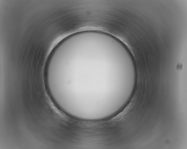 X0000092011030200709201526