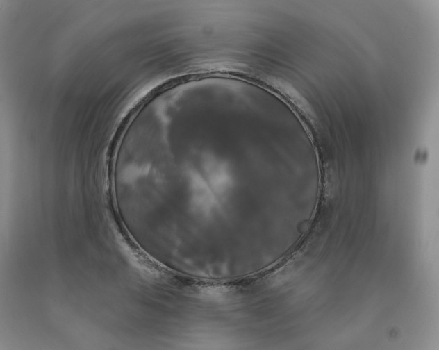 X0000092011031200709201526