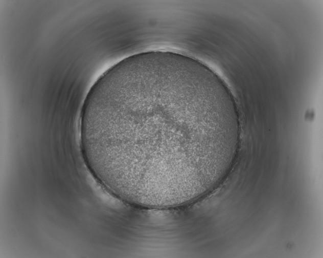 X0000092011032200709201526