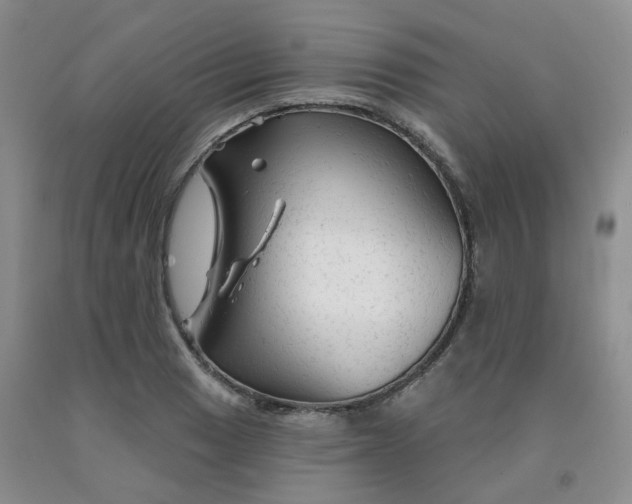 X0000092011033200709201526