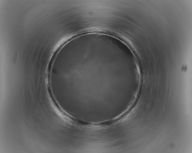 X0000092011034200709201526
