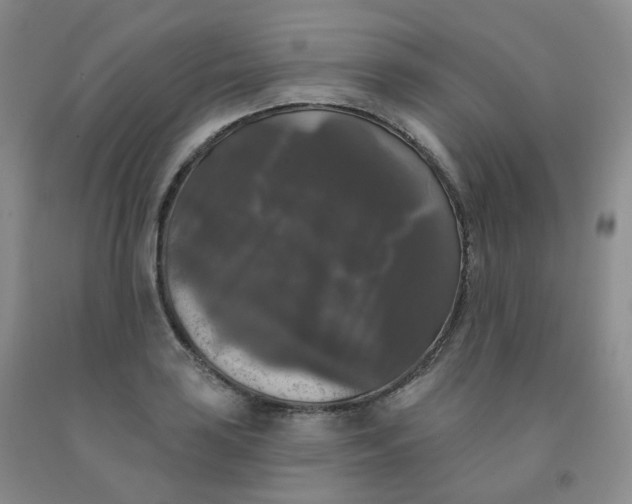 X0000092011035200709201526