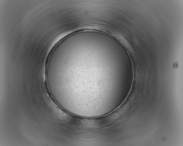X0000092011036200709201526