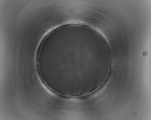 X0000092011037200709201526