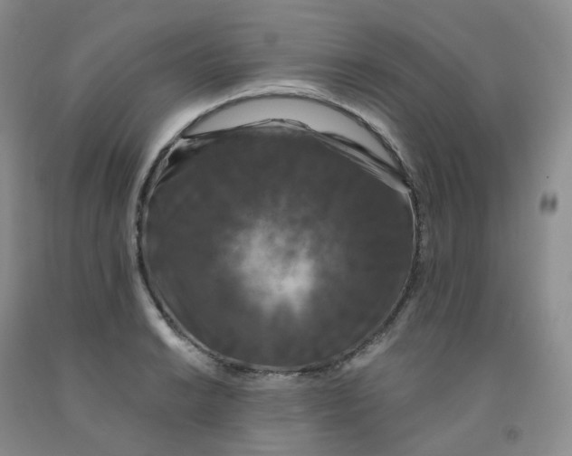 X0000092011038200709201526