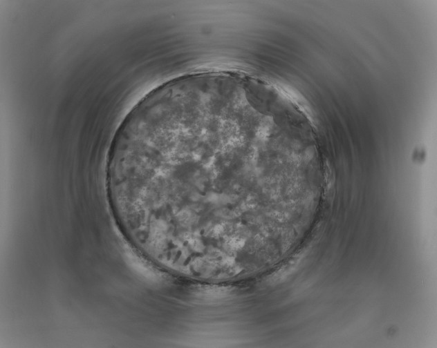 X0000092011039200709201526