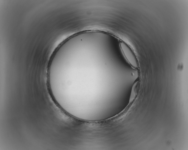 X0000092011040200709201526