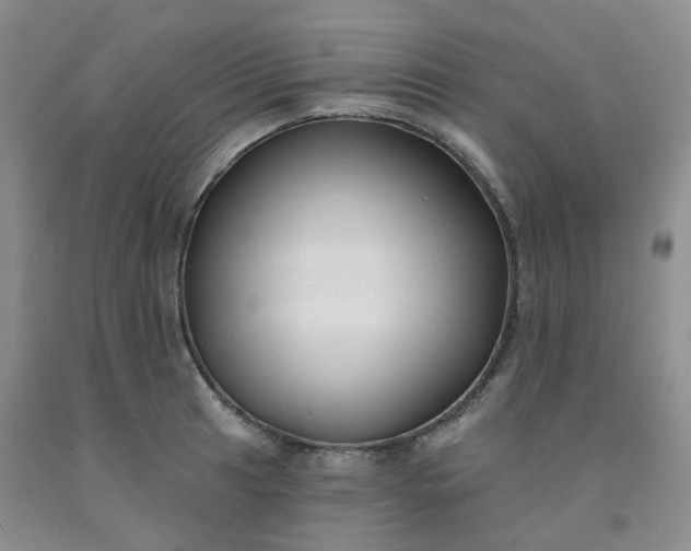 X0000092011041200709201526
