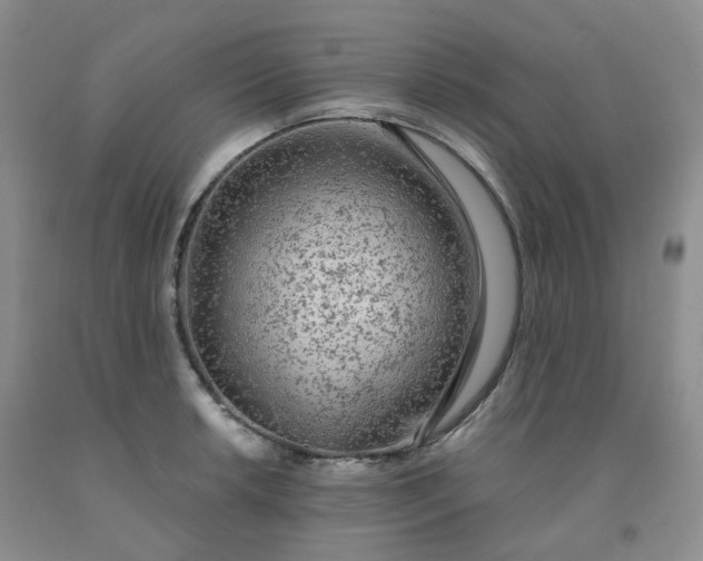 X0000092011042200709201526