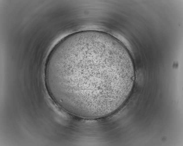 X0000092011043200709201526