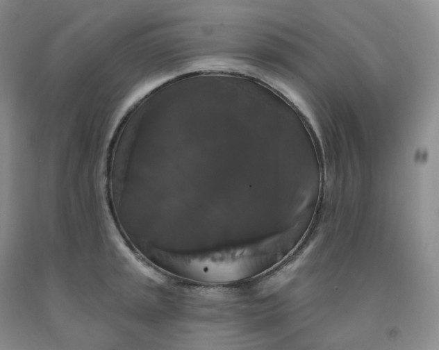 X0000092011045200709201526