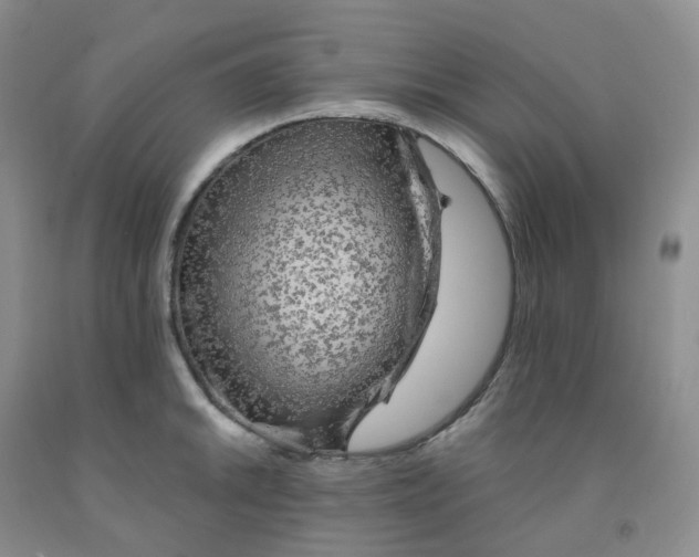 X0000092011046200709201526