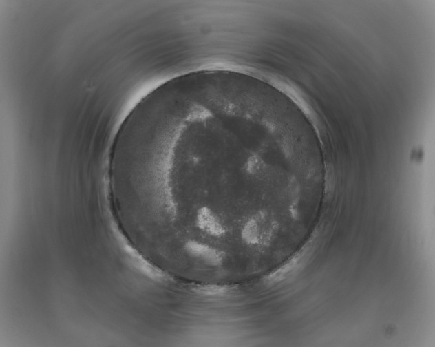 X0000092011048200709201526