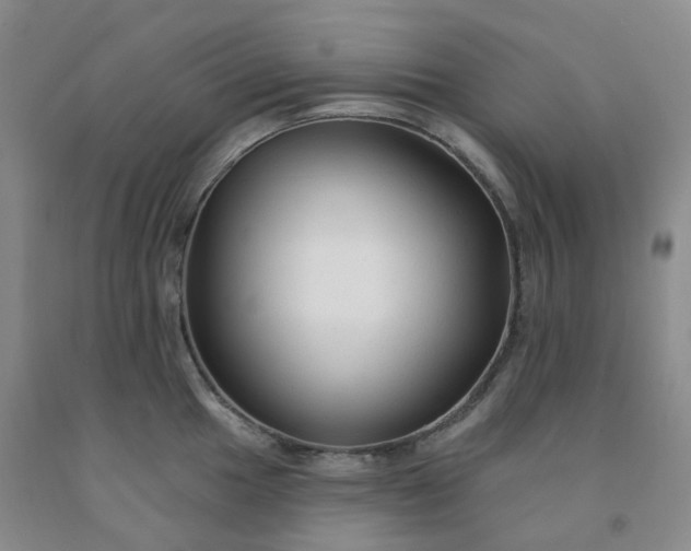 X0000092011049200709201526