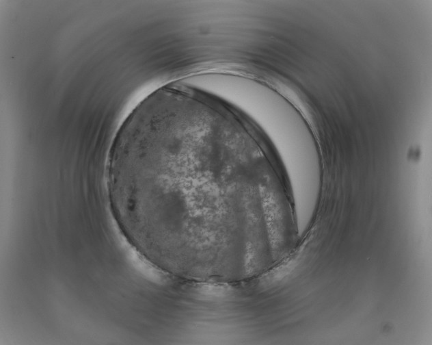 X0000092011050200709201526
