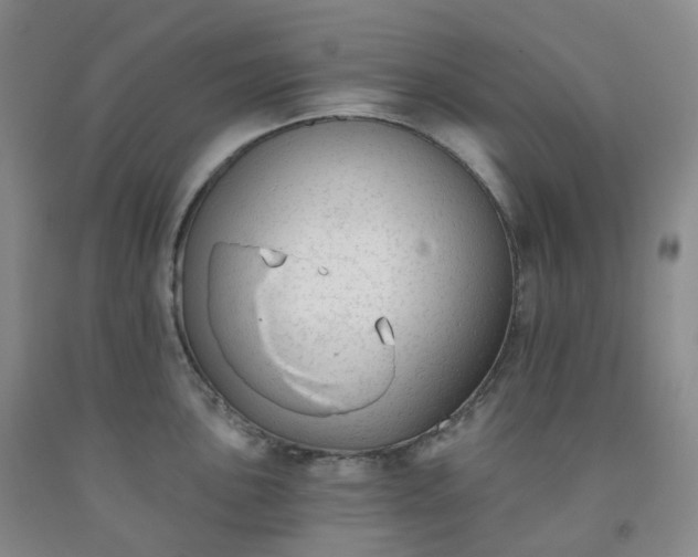 X0000092011051200709201526