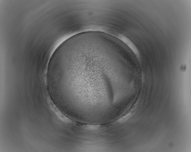 X0000092011052200709201526
