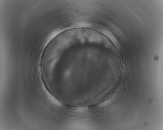 X0000092011055200709201526