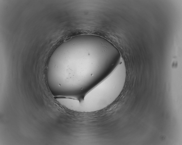 X0000092011057200709201525