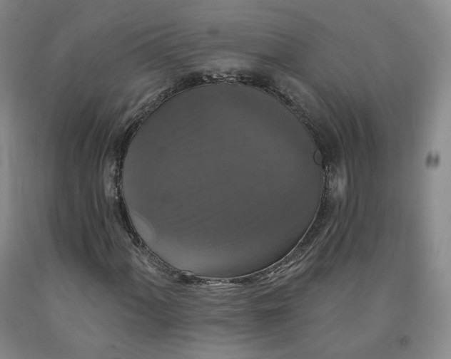 X0000092011060200709201525