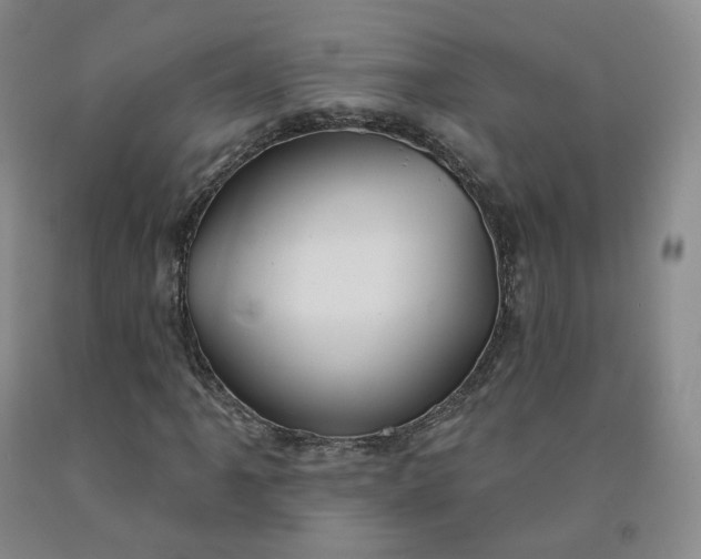 X0000092011061200709201525