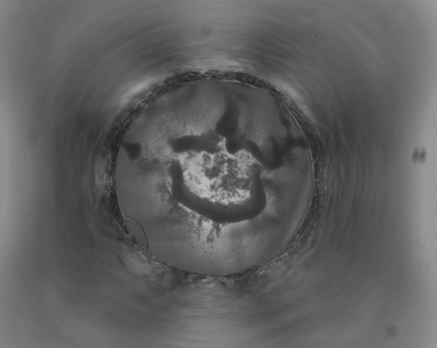 X0000092011063200709201525