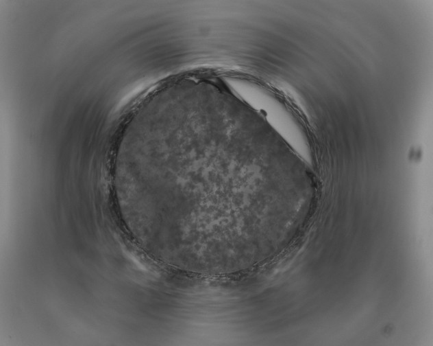 X0000092011064200709201525