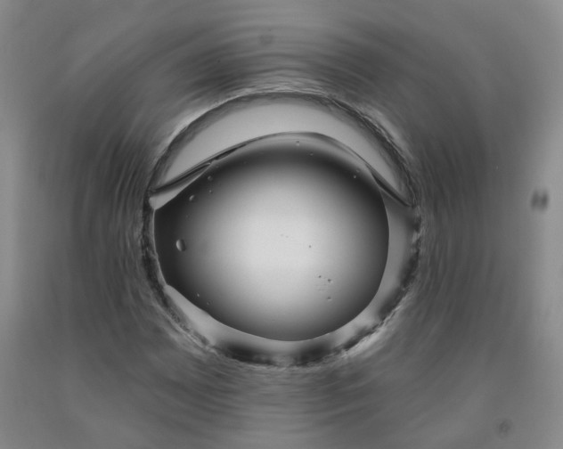 X0000092011065200709201525