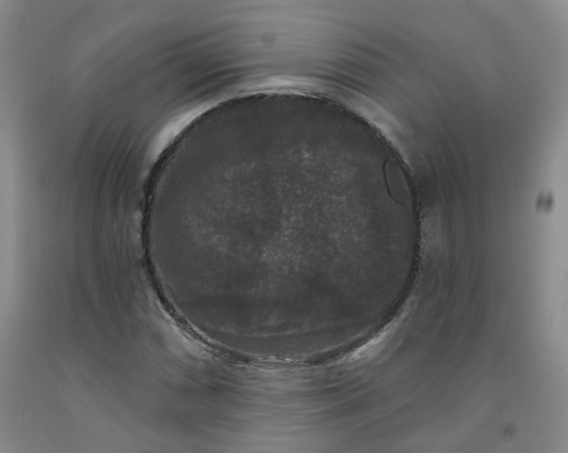X0000092011066200709201525