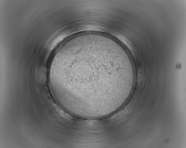 X0000092011067200709201525