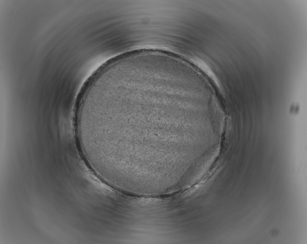 X0000092011068200709201525
