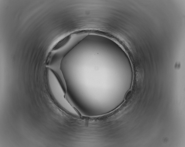 X0000092011069200709201525