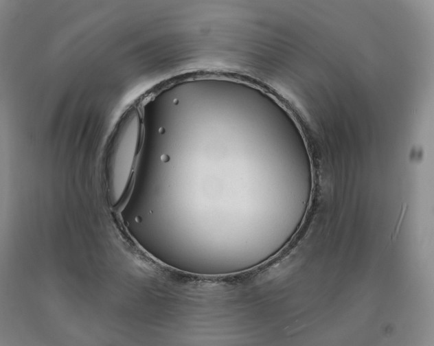 X0000092011070200709201525