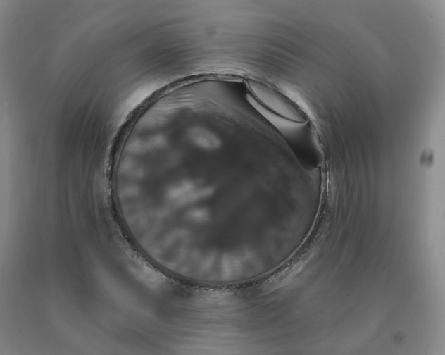 X0000092011071200709201525