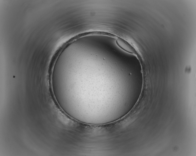 X0000092011072200709201525