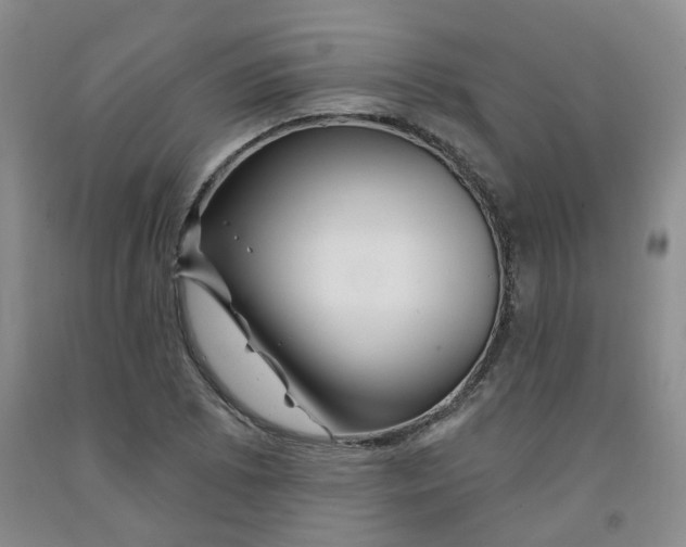 X0000092011073200709201525