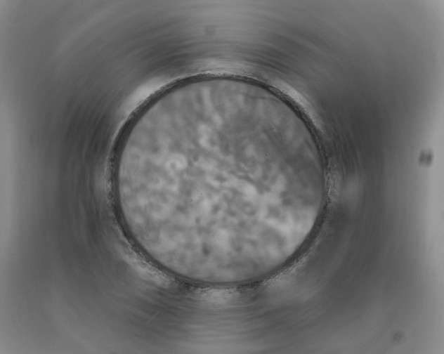 X0000092011074200709201525