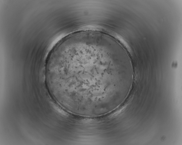 X0000092011075200709201525