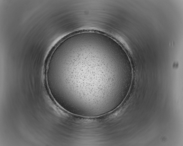 X0000092011076200709201525
